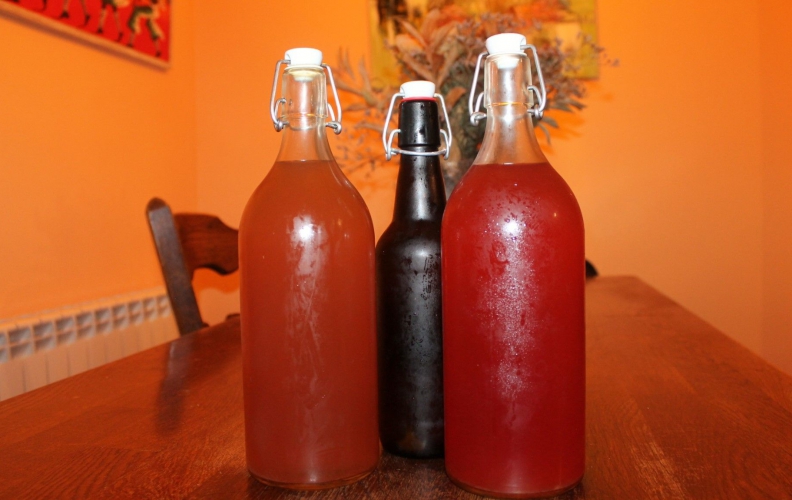 kombucha el puerto de santa maria